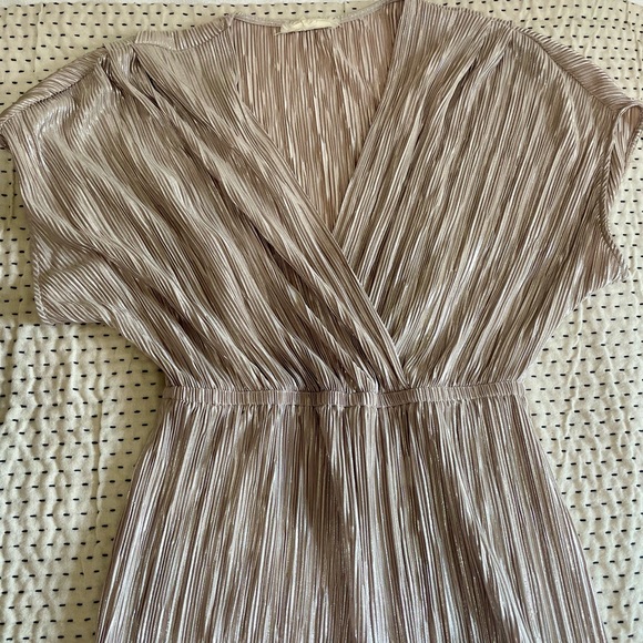 Porridge Pleated Metallic Jumpsuit - Picture 3 of 6